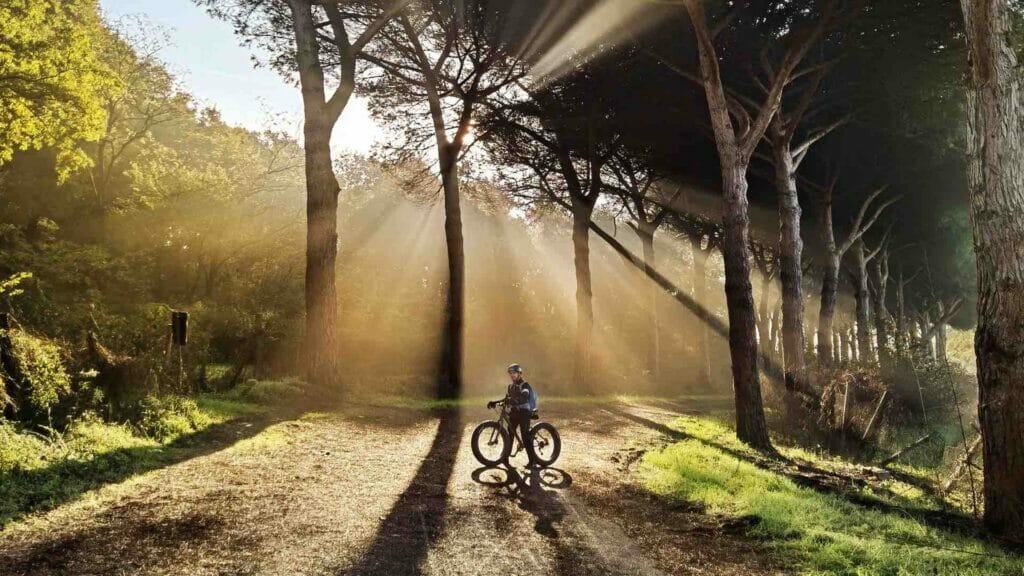 DMO_LatiumEXPERIENCE_natura_cicloturismo_parcodelcirceo low res