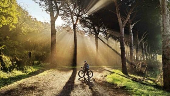 Cicloturismo, Isnart: giro d’affari da 4 miliardi in Italia