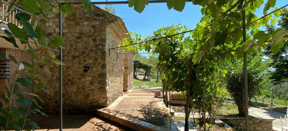 Operazione crowdfunding per la startup Ruralis.com