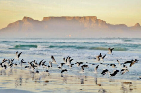 Swan Hellenic lancia nove crociere expedition in Africa 