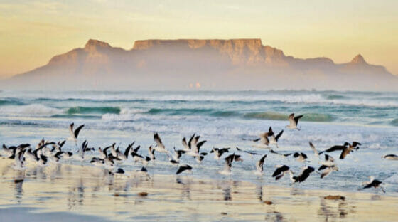 Swan Hellenic lancia nove crociere expedition in Africa 