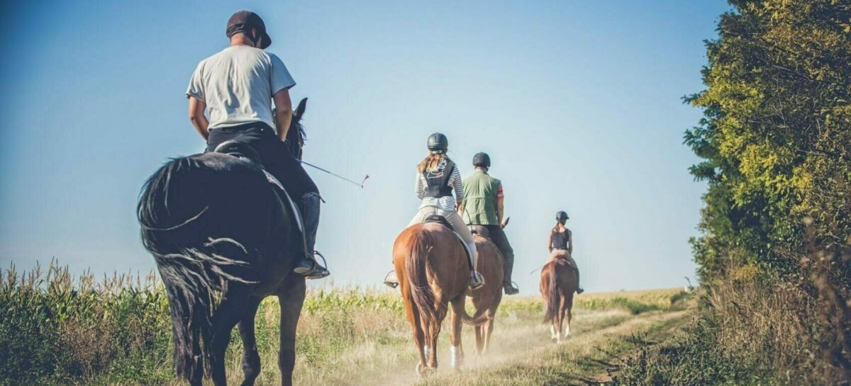 Turismo sostenibile: nasce il progetto “Ti meriti la Spagna green”