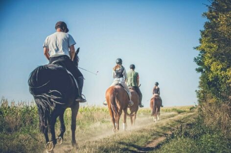 Turismo sostenibile: nasce il progetto “Ti meriti la Spagna green”