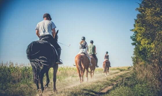 Turismo sostenibile: nasce il progetto “Ti meriti la Spagna green”