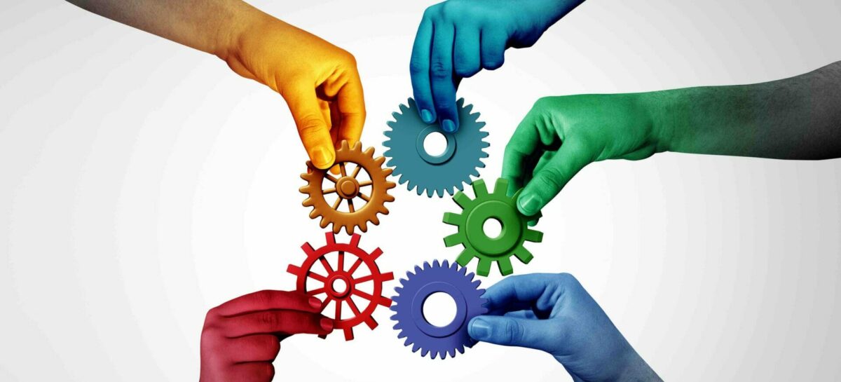 Nicolaus-Valtur, i nomi di una squadra che cresce