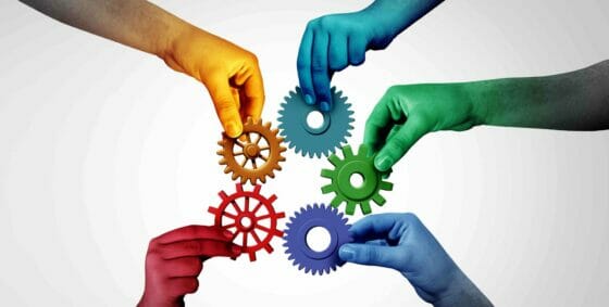 Nicolaus-Valtur, i nomi di una squadra che cresce