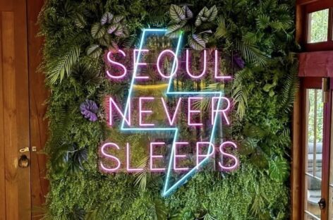 Viaggio in Corea, perché? L’analisi di Michele Serra (Quality Group)