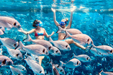 Costa Crociere svela le escursioni National Geographic