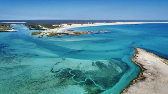 Western Australia, Aviair lancia il servizio regionale Nexus Airlines