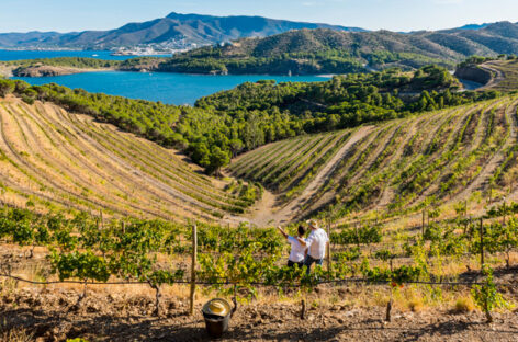 Catalogna, Teixidor: «Crescita a doppia cifra. Puntiamo all’enoturismo»