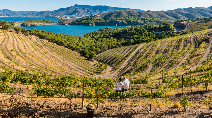 Catalogna, Teixidor: «Crescita a doppia cifra. Puntiamo all’enoturismo»