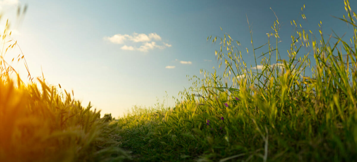 Sostenibilità, FiturNext 2024 lancia la call per i progetti di turismo rurale