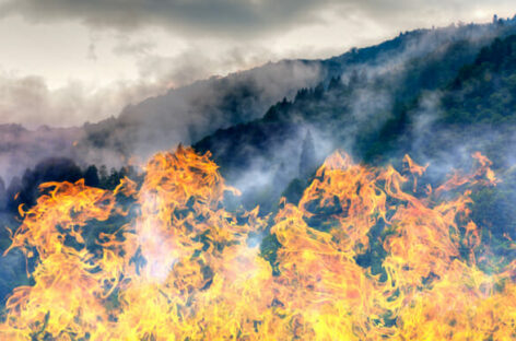 Maxi roghi in Canada, l’avvertimento della Farnesina