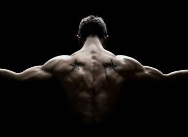 I muscoli delle Ota nel post pandemia