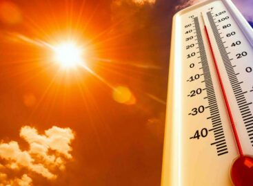 “Basta viaggi all’estero”: estremismo anti caldo della Cnn