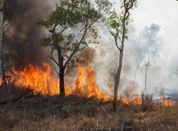 Emergenza incendi, 2mila turisti evacuati sul Gargano