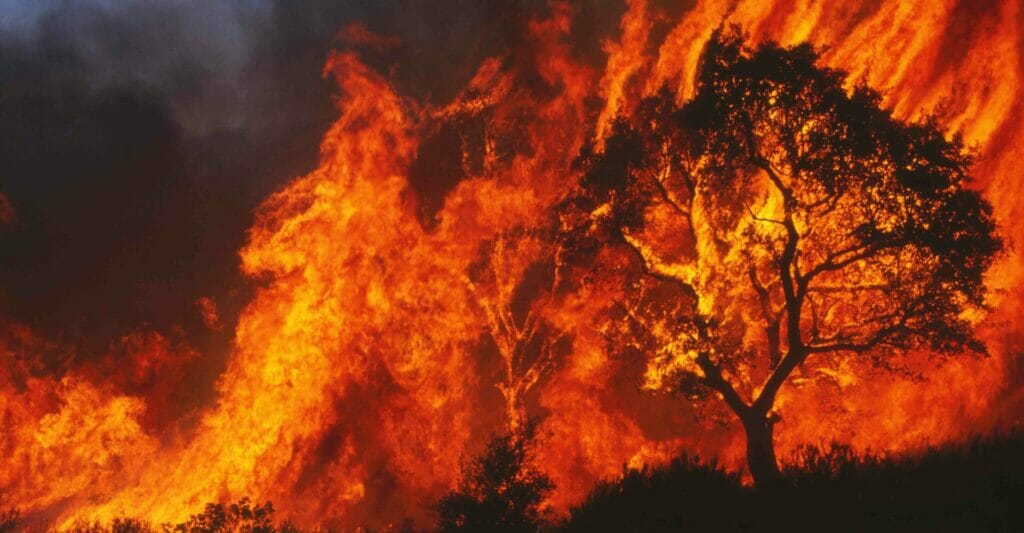 incendio rogo_archivio