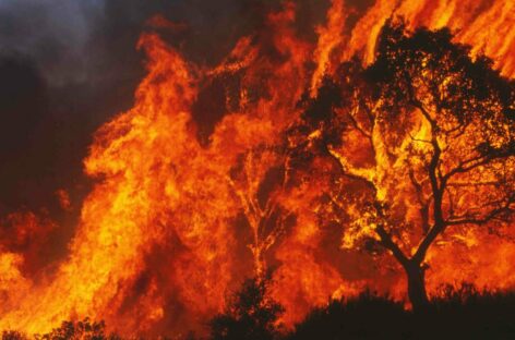 Rodi in fiamme, voli speciali <br>per rimpatriare i turisti