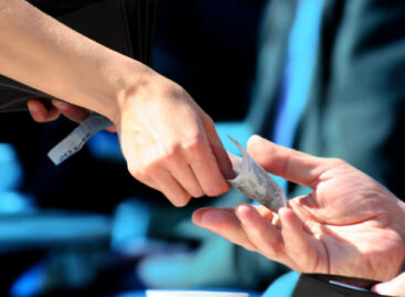 Flat tax mance, Santanchè: «Si può fare di più»