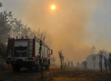 Incendi Rodi, i piani salva-turismo di governo e Alpitour