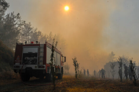 Incendi Rodi, i piani salva-turismo di governo e Alpitour