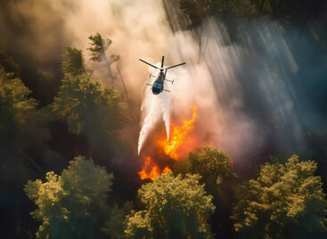 Incendio sul Gargano: allarme rientrato, tornano i turisti