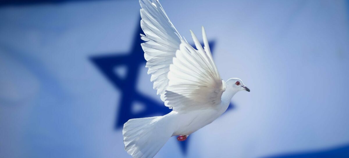 Israele, l’industria turistica si mobilita per gli sfollati