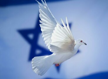 Se la voglia di viaggiare <br>è più forte di guerra e terrorismo