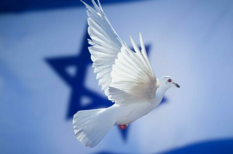 Se la voglia di viaggiare <br>è più forte di guerra e terrorismo