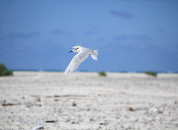 Una nuova isola alle Seychelles: si chiama Derrick’s Sandbanks ed è nata da un ciclone