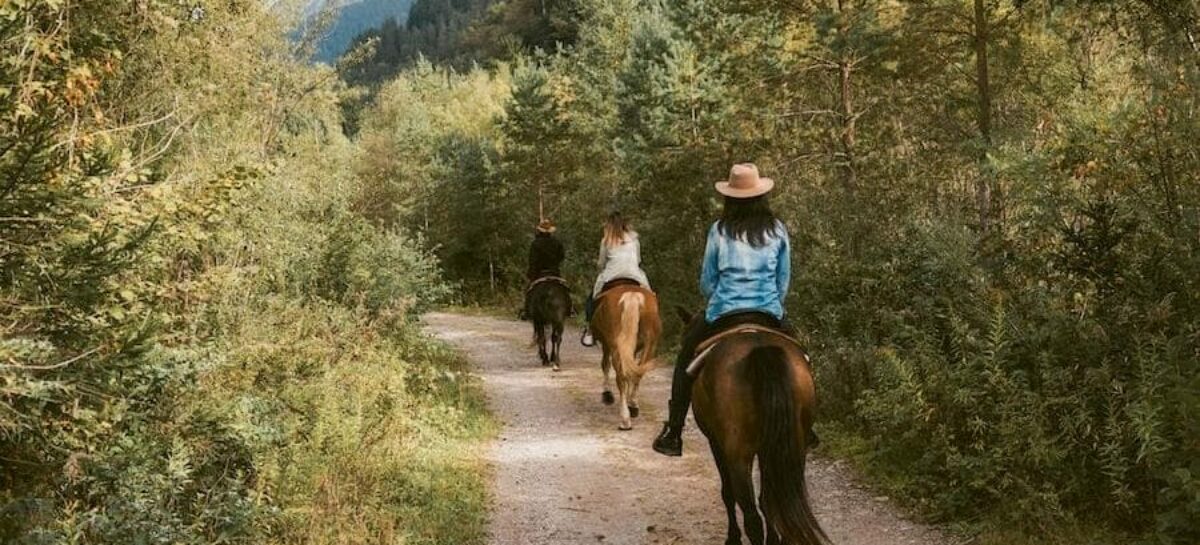 Alpi Carniche, il consorzio Visit Zoncolan spinge sul turismo green e slow