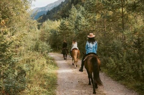 Alpi Carniche, il consorzio Visit Zoncolan spinge sul turismo green e slow
