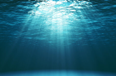 Blue Friday, l’alternativa Unesco al Black Friday per proteggere l’oceano