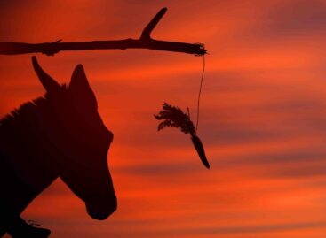 Direttiva pacchetti, la disamina. Bastone e carota all’Ue