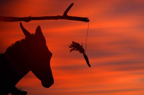 Direttiva pacchetti, la disamina. Bastone e carota all’Ue