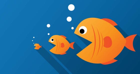 Certares punta a “mangiare” Tui acquisendo Fti e Der Touristik