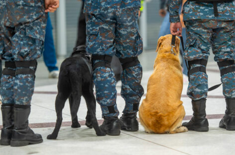 Terrorismo, allerta Natale in Europa: vertice a Bruxelles
