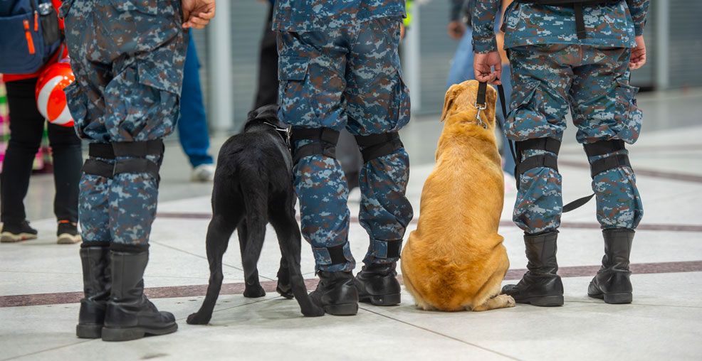 Terrorismo, allerta Natale in Europa: vertice a Bruxelles