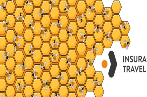 Assicurazioni e foreste: è svolta green per I4T