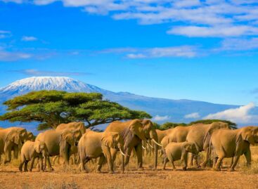 Il Kenya abolisce il visto: ecco le nuove regole