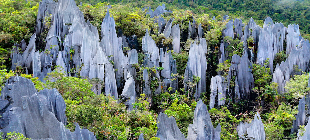 La Malesia candidata a capitale globale dell’ecoturismo
