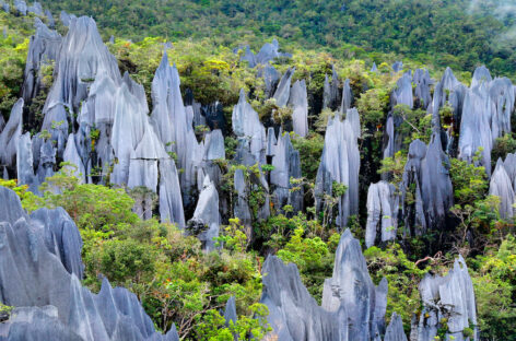 La Malesia candidata a capitale globale dell’ecoturismo