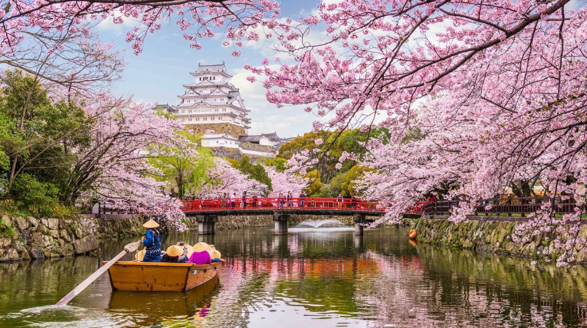 I viaggiatori italiani vogliono Giappone, Usa e Islanda: lo dice Tramundi