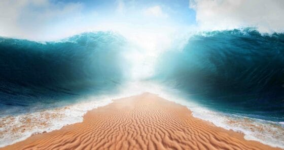 Tensioni sul Mar Rosso: deviate le crociere Carnival