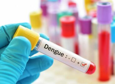 Allerta dengue, scattano i controlli su navi e aerei