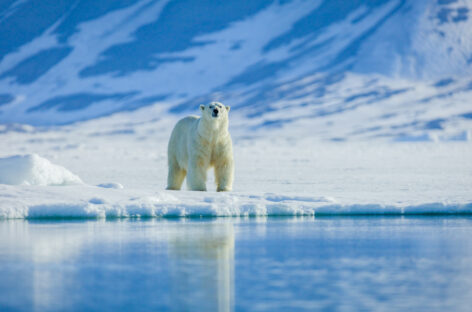 Le isole Svalbard limitano le crociere expedition