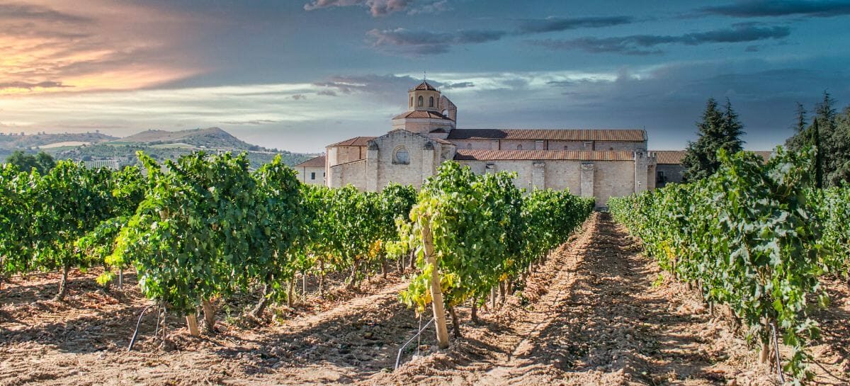 Enoturismo, torna l’evento “Fine” di Valladolid: riflettori su Marche e Sicilia