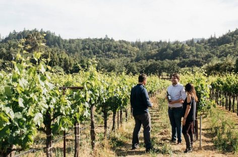 Airbnb-Coldiretti, patto all’insegna dell’enoturismo