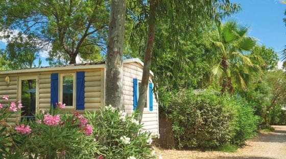 Campeggi: “Bene la proroga dell’aggiornamento catastale”