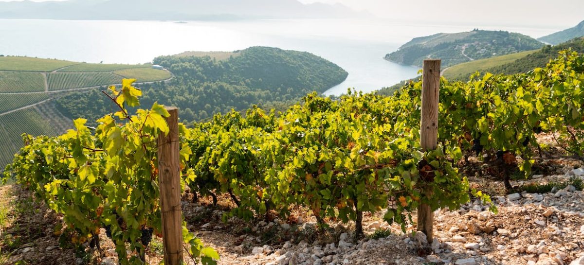 Turismo rurale, in Croazia il sesto Congresso internazionale